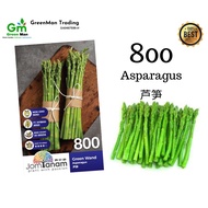 800 Seed Asparagus Green Wand 芦笋－(30 seeds)