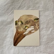 綠繡眼 烏鴉 水彩 圓角明信片