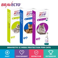 Bravecto Topical Solution for Cats 1.2-12.5kg 1Dose/Box