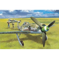 Hobby Boss 81721 Focke-Wulf FW190D-13 1/48