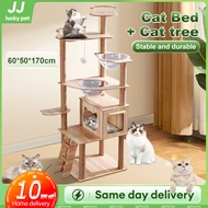 Cat Tree Cat Climbing Frame Solid Wood 170cm Formaldehyde Free Tree Toy Scratch Plat Bed Triple Layer Square Fur Modern Colour Sisal Post Cat Toy