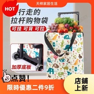 Grocery Shopping Small Trolley Backpack Dual-Use Portable Foldable Cart Camper Recommended