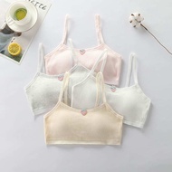 Miniset Busa Anak/Miniset Busa Anak Remeja/Miniset Busa/BH Busa Anak/Pakaian Dalam Anak