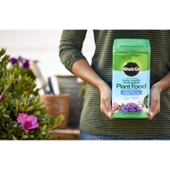 Miracle-Gro Azalea Camellia Rhododendron Water Soluble Miracle Gro Plant Food (1.5lbs/ 5lbs) (US)