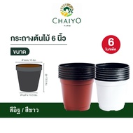 Plant POT 6 inches 6 Pieces 150 mm(6 inches) 6 pcs