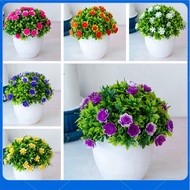 [TWILIGHT]Artificial Bonsai Fake Plant Flower Potted Plant Home Bedroom Garden Decorative