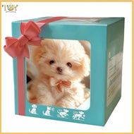 deveodo Dog Bow Plush Toy Comforting Koala Plushie Adorable Koala Plush Doll Perfect Christmas Gift 