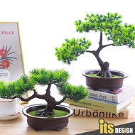 🔥 Pasu Hiasan Ruang Tamu Bonzai Hiasan Pokok Kaktus Hiasan Fake Plant With Pot Fake Bonsai Fake Tree