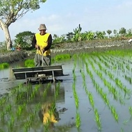 (((BISA COD))) alat tanam padi transplanter manual PALING LAKU