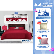 SYNDA ผ้าปูที่นอน รุ่น Pomegranate (ขนาด3.5ฟุต 5ฟุต 6ฟุต) (ไม่รวมปลอกผ้านวมและปลอกหมอนข้าง)