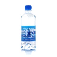 Isbre Norway imported mineral water glacier water 500ml