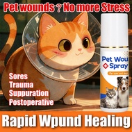 Pet Wound Spray CC Spray luka kucing Ubat luka kucing Cat wound spray Dog wound spray Ubat luka kuci