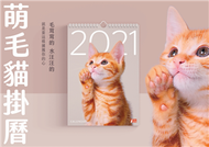 《萌毛貓》2021年掛曆【臺北市流浪貓保護協會】 (新品)