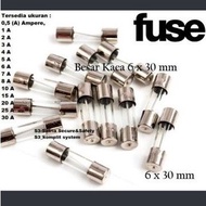 Large Glass Fuse Size 6x30mm Glass Fuse/