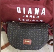 【降】DIANA JANES 經典logo真皮 牛皮肩背包#輕奢