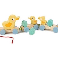 Tender Leaf Toys - Pull Along Ducks - Classic Wooden Pull Along Toy - 9pc Duck Family Set