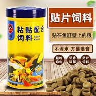 Floating Paste Fish Food Grass Tank Fish Food Tropical Fish Guppy Small Phoenix Tail Dolphin Brand O