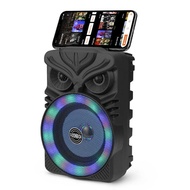 Lantern Bluetooth Speaker Owl Shape Outdoor Portable Speaker U SB Card Small Wireless