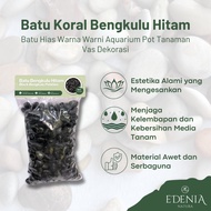 Black Bengkulu Coral Stone 8kg | Aquarium STONE | Garden Stone | Pot Decoration | Ready to Use