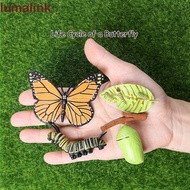 LUMALINK​ Growth Cycle Model Kids Toy For Kid Butterfly Growth Cycle Plastic Models Insect Animals S