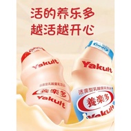 Yakult Active Lactic Acid Bacteria Original Low-Sugar Yogurt Drink 100ml * 20 Bottles Insulation Box