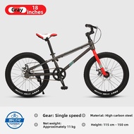 Childrens Mountain Bike 18/20 inch