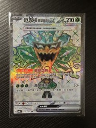 Pokemon 繁中版 PTCG 即入卡套 Teal Mask Ogerpon 厄鬼椪 碧草 面具 ex SR