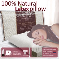 100% Natural Latex Pillow - Thailand Origin