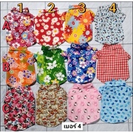 Shirt​Shirt​Print​Pattern​ Shirt​Little Brother​Dog​ ​Little Brother​Cat​ Number​ 4​