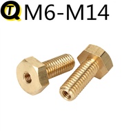 Brass External Hexagon Hollow Screw (Ready Stock M6M8M10M12M14M16) Threaded Wire Wire Ventilated Hol