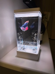 小型魚缸連LED燈
