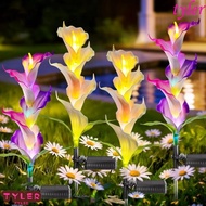 TYLER 2pcs Solar Garden Light, Waterproof Colorful LED LED Garden Light, High-Efficiency Solar Panel