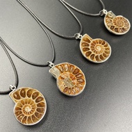 Natural Spotted Snail Ammonite Sliced Edge Pendant Conch Animal Specimen Folio Mineral Rough Stone P