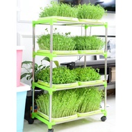 Vegetable Plate Planting Vegetables Pea Sprouts Bean Sprout Seeds Hydroponic Hydroponic Sprout Seedl