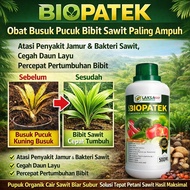 BIOPATEK Obat Busuk Pucuk Bibit Sawit Paling Ampuh | Atasi Penyakit Jamur & Bakteri Sawit Cegah Daun