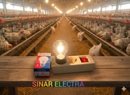 Lampu Pijar Bohlam Electra 5Watt