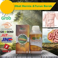 Obat Hernia QnC Jelly Gamat Solusi Penyembuhan Penyakit Hernia - Mengobati Hernia Inguinalis Turun B