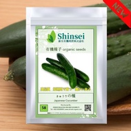Shinsei 新生 | Organic Seeds 58 | Japanese Cucumber