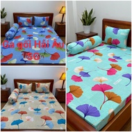Bed sheet/bed sheet set 1m6x2m/1m8x2m Korean cold elastic mattress 5-6cm
