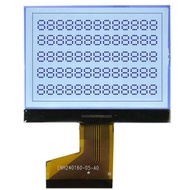 Customized Graphic 240X160 Dot Lcd Display Screen