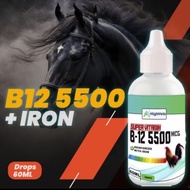 (Drops)Super Vitamin B12 5500mcg with Iron and L canitine