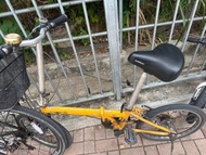 dahon