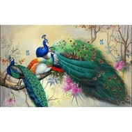 Decorative background images, decorative background images, shutterstock images, landscape images, w