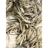 White Sage Leaves clusters