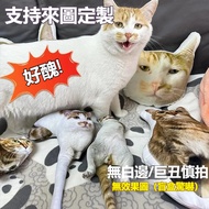Upgrade Customized Pillow Customized Pet Pillow Cat Pillow Cat Doll Puppy Pillow Special-Shaped Pill