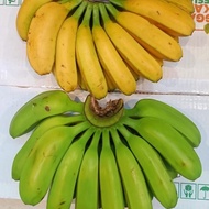 Pisang | Pisang Kepok | Pisang Kepok Papua