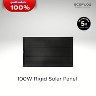 EcoFlow 100W Rigid Solar Panel