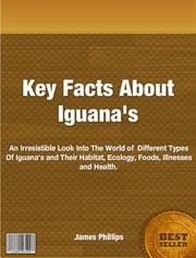 Key Facts About Iguana's James Phillips