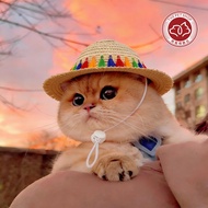 Cat Cat Hat Summer Handmade Sunshade Hat Cat Cat Funny Photo Headgear Dog Hat Dress Up Hat Small Dog