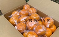 【東勢 茂谷柑整箱20斤散裝(中果)】果肉細緻多汁 甜甜微酸好柑橘